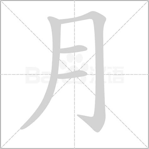 月字部首的字|月部首所有汉字